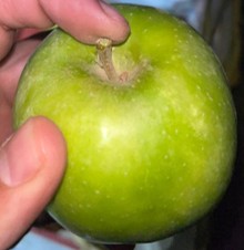 تصویر بعد مقایسه شماره ۲