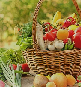 بازدید تخصصی سردخانه